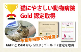 猫にやさしい動物病院ゴールド認定