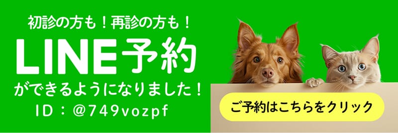 初診の方も！再診の方も！LINE予約ができるようになりました！